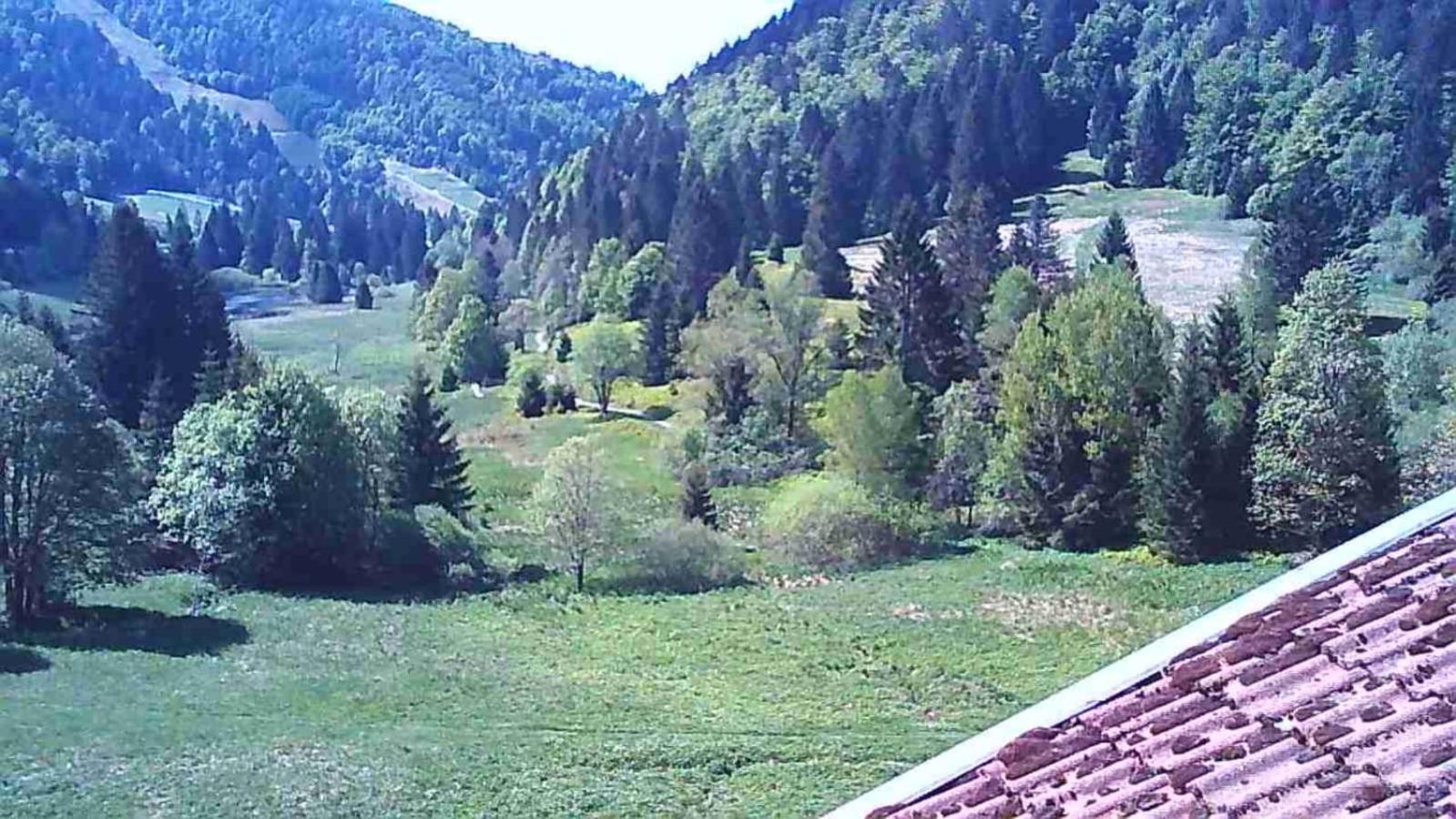 Chalet Des Belles Roches, 14 Pers, Garden, Sauna La Bresse Exterior foto