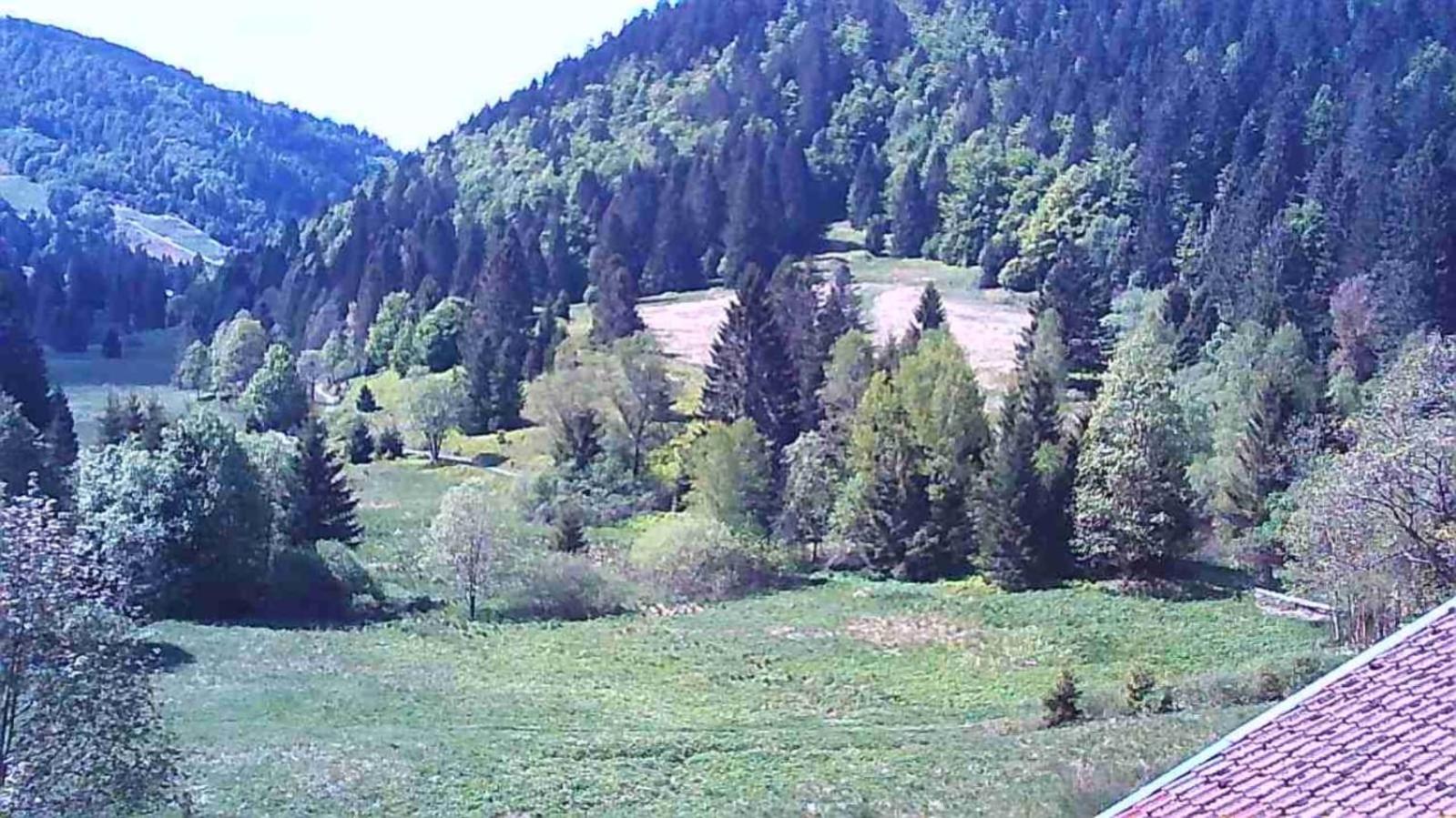Chalet Des Belles Roches, 14 Pers, Garden, Sauna La Bresse Exterior foto
